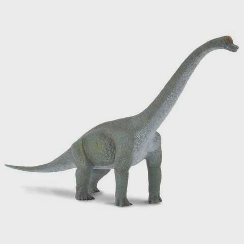 Brachiosaurus