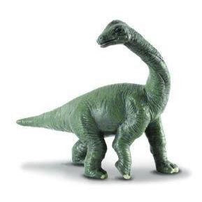 Brachiosaurus Baby