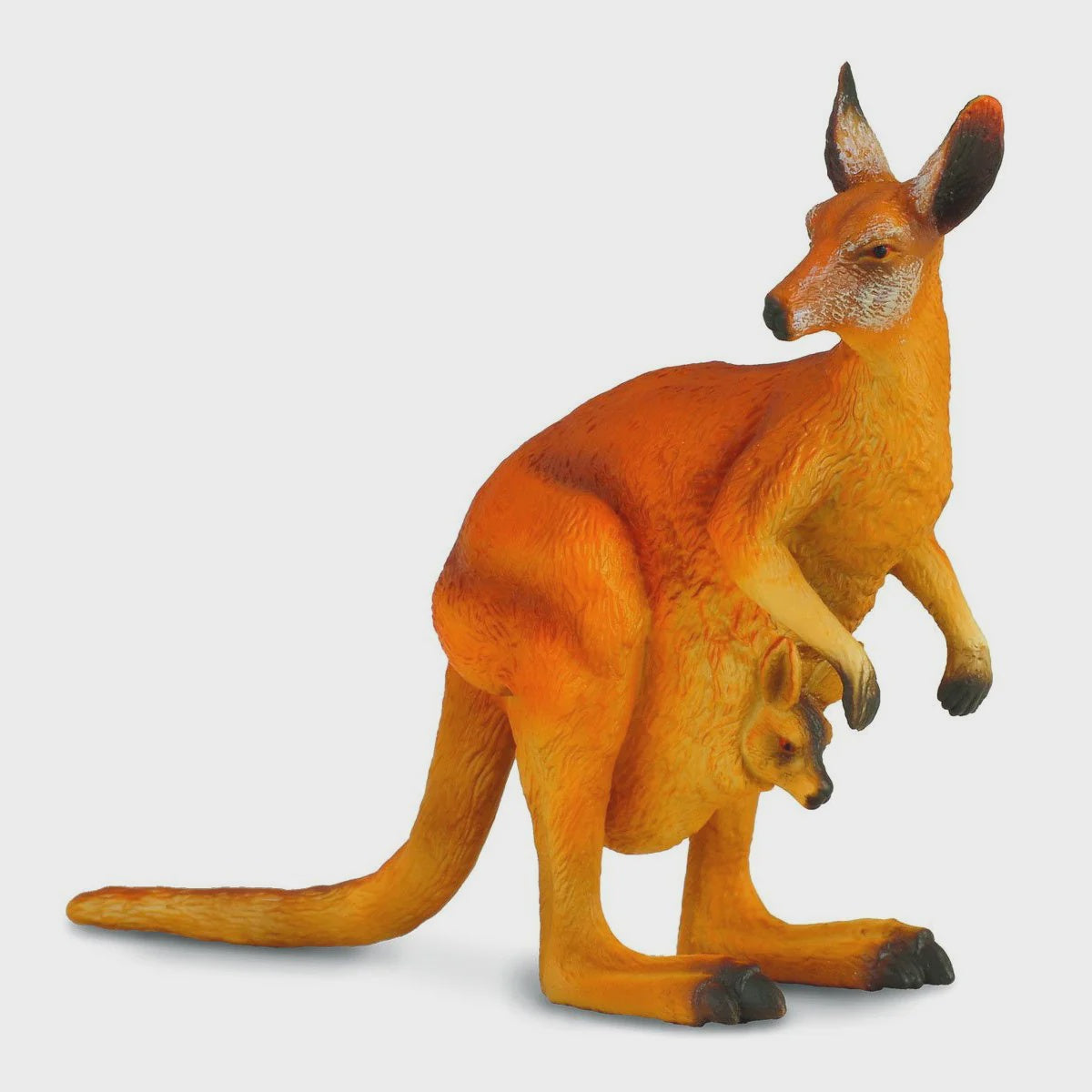 Red Kangaroo with Joey