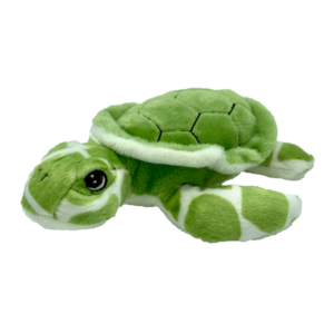 Ocean Turtle