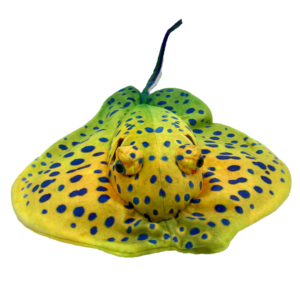 Solomon Stingray