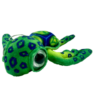 IMG_6432.png