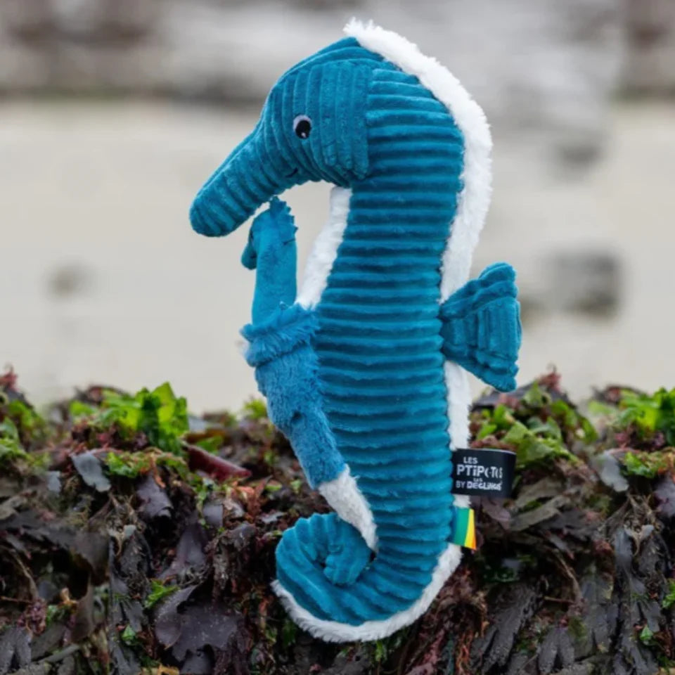 PapadpitheSeahorse_Dad_Baby-Blue1.webp