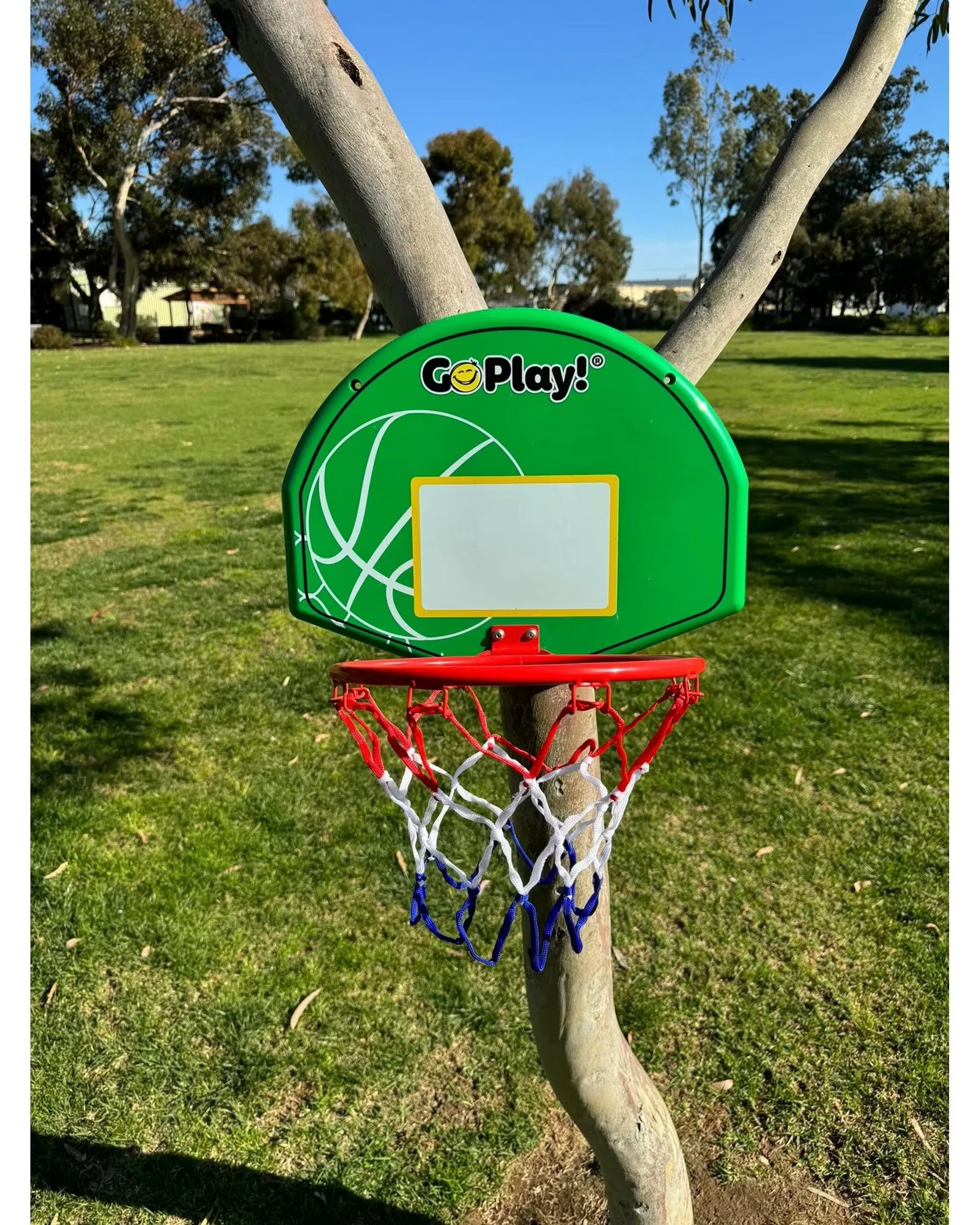 Basketball Board - Portable