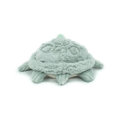 Sauvenout the Turtle, Mum & Baby - Mint