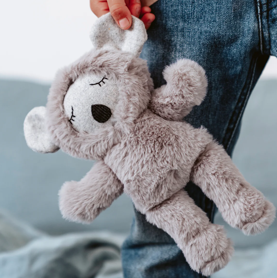 Morton Koala